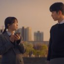 미지 이미지