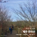 제주버스터미널 (한국병원방면) | 한라산 탐방예약 등산코스 소요시간 총정리