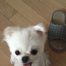 기흥슈퍼 이미지