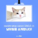 세림기획이벤트 네이버블로그