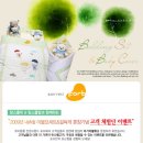 포브26