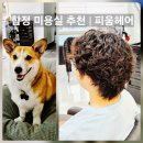 행복한 미용실 by선미 | 합정 미용실 추천 | 메세나폴리스 남자머리 히피펌 피움헤어 본점
