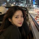 타이거버스투어