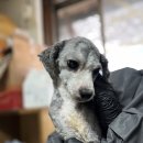 몽글몽글 이미지