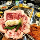 식껍종로