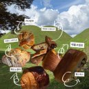 파티앤피크닉 | 경주 TAK 카다먼번 빵파티 피크닉 후기 경주 베이커리카페 추천