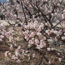 영포농장 이미지