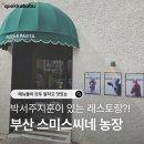 애니농장 | 스미스씨네 농장 | 아기동반 가능한 해운대 양식 맛집(feat.박서주지훈)