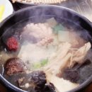 힘낙지쭈꾸미 이미지