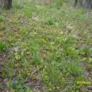 연인산약국 이미지