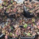 노곡농장 이미지