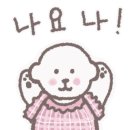 허니모모 애견미용실 이미지