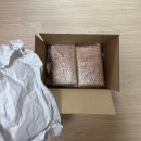 직구넷 | 라쿠텐에서 직구한 귀멸의칼날 팔버스 3탄 (Palverse Vol.3) 풀박스 언박싱 후기