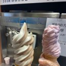 30CM아이스크림