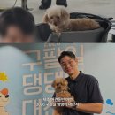 댕댕이네 | [제주/놀거리] 제주 애견동반 액티비티 2026 구팔일 댕댕이 대잔치 참여 후기