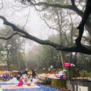 한남리 본향당굿 이미지