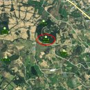 표선리-18 이미지