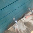 GS25낙산해변점 이미지