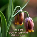 대한민국 국민 누구나 받을 수 있는 혜택 [시민안전 배상보험] 이미지