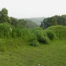 영원부원군 묘 이미지