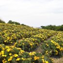 평강한방병원 이미지