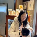 돼지상점