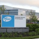 CDC recommends new Pfizer vaccine to protect newborns from RSV 이미지