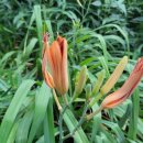 용천사편의점 이미지