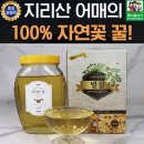 에바다 이미지