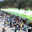 동해-단속-18 이미지