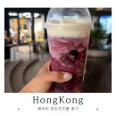 마실다육 | 홍콩여행에서 마신 헤이티 | 다육포도 후기