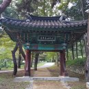 기양1리 | 감천(기양)지맥 제2구간 - 산태백재에서 주아현까지