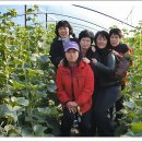 동기농장 이미지