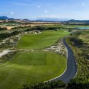 아성 골프연습장 | 골프장 (KN Golf Links Cam Ranh)" 완벽 가이드! 그린피·예약방법·코스 후기까지 총정리 (2026 최신)