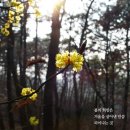 민낯세상