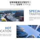 금관가야인력