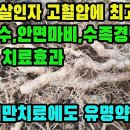 댕댕이덩굴(목방기)―혈압 강하작용이 뚜렷하며 신체 마비증상을 치료하고, 신장질환과 오줌소태증상에 효과 및 방광결석을 녹이는 놀라운 약초 이미지