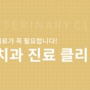 정직한 동물병원 이미지