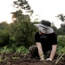 여기, 지리산 이미지