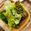 [거제맛집] 성진장어ㅣ친절한 사장님과 꼬소한 거제장어맛집 후기 (주차, 메뉴추천, 거제맛집)