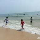 대천해수욕장 이미지