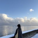 서초대로34가길 43 | #34 [하코다테 여행]_오시마토베쓰역에서 고료카쿠역, 고료카쿠 타워 야경