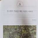 『메시지가 있는 성경식물 이야기』 6 - 루스에서 야곱을 깨운 아몬드 이야기 이미지