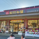 임마누엘화원 이미지