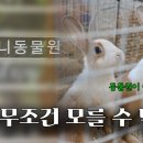 엘 미니동물원 네이버블로그