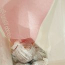 코코호도상도역점 네이버블로그