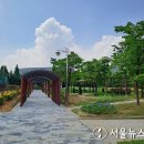 한들공원 이미지