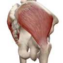 운동공간 정원 이미지