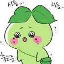 카프리짐 이미지