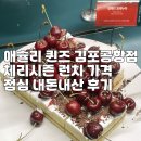 체리분식 | 애슐리 퀸즈 김포공항점 런치 가격 체리시즌 점심 내돈내산 후기